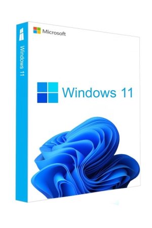 WINDOWS PRO 11 64BIT FRENCH 1PK DSP OEI DVD