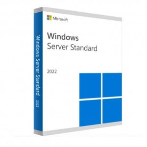 WINDOWS SVR STD 2022 64BIT FRENCH 1PK DSP OEI DVD 16 CORE