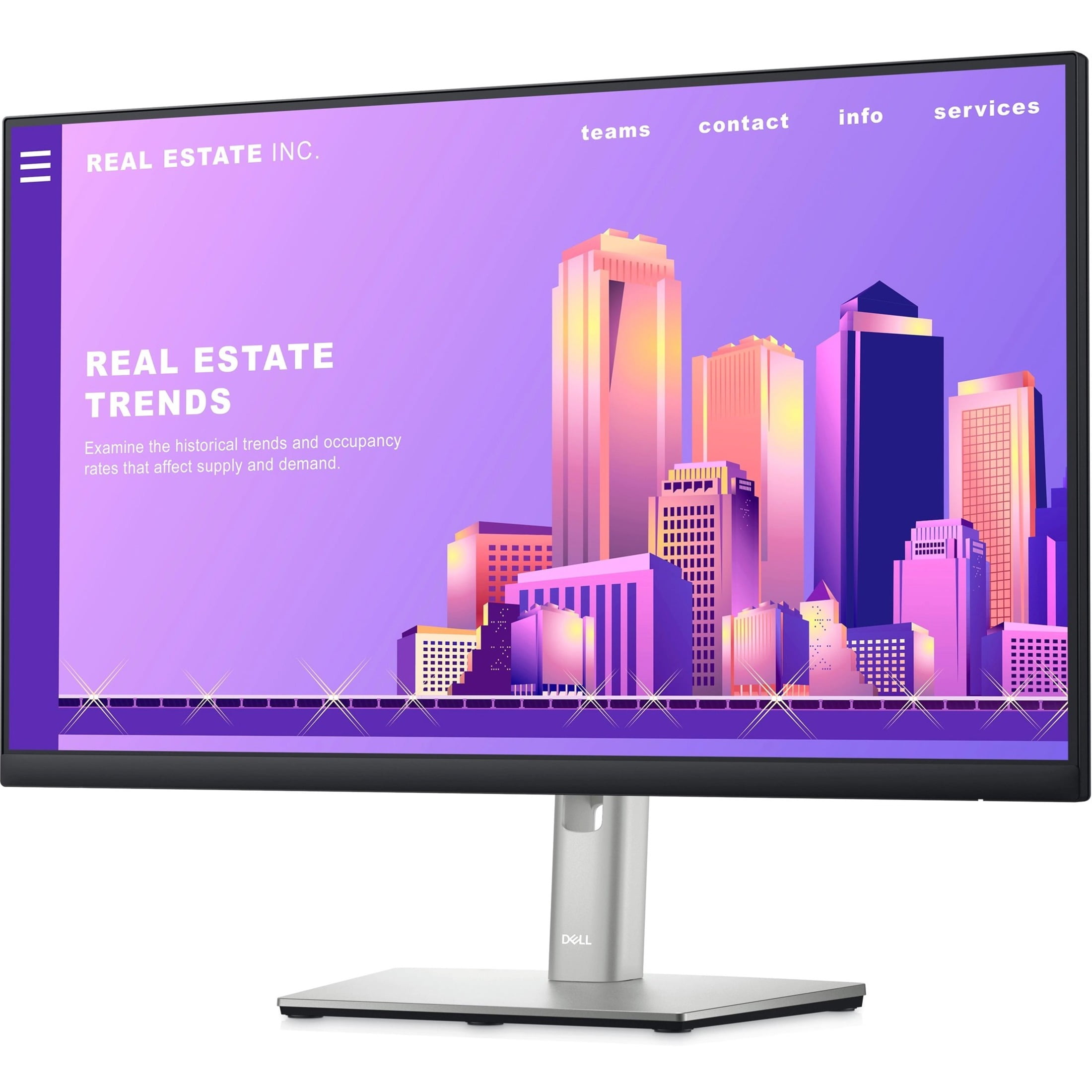 DELL MONITOR | P2422H-3Y 60.5CM (23,8")